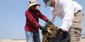Suma Tamaulipas esfuerzos con la Federación para conservar playas y costas