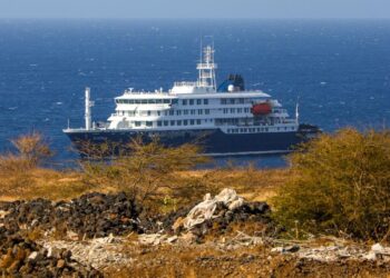Hantavirus en alerta: brote afecta crucero de expedición