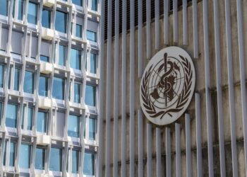 OMS descarta riesgo elevado por brote de hantavirus: “es muy bajo para la población”