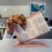 Concluye votación en Coahuila; INE reporta jornada sin incidentes graves