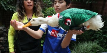 ¿Dejará la FIFA entrar al pato Merlín al próximo partido de México?