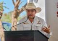 Lidera Tamaulipas la producción nacional de carbón vegetal