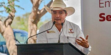 Lidera Tamaulipas la producción nacional de carbón vegetal