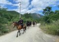Agrupamiento Montado de la Guardia Estatal refuerza vigilancia en zonas de difícil acceso