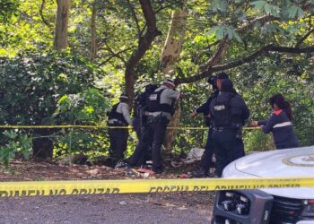 Investigan abandono de cinco cuerpos en la autopista Orizaba-Puebla