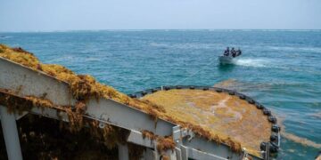 Reconoce Mara Lezama que el mayor reto es recolectar el sargazo en el mar