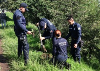 Comienza rescate del humedal Bordo San Jerónimo en Toluca