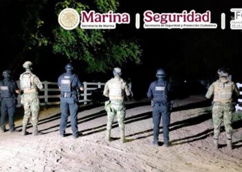 Dan duro golpe al contrabando de hidrocarburos y animales exóticos en Tamaulipas