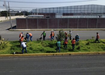 Fortalece Ricardo Moreno acciones de arborización para mitigar islas de calor urbanas