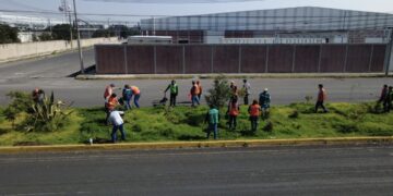 Fortalece Ricardo Moreno acciones de arborización para mitigar islas de calor urbanas