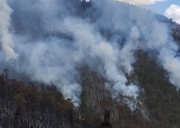 Registra Tamaulipas 22 incendios forestales durante 2026