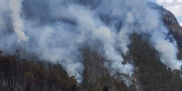 Registra Tamaulipas 22 incendios forestales durante 2026