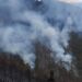 Registra Tamaulipas 22 incendios forestales durante 2026