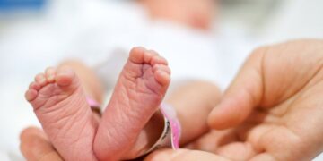 Confirma IMSS bacteria en cuatro de cinco recién nacidos que murieron en Durango