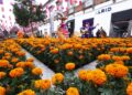 ¡Únete a la fiesta de Toluca y disfruta el alfeñique al máximo!