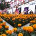 ¡Únete a la fiesta de Toluca y disfruta el alfeñique al máximo!