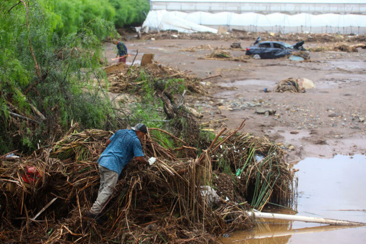 Personas realizan labores de búsqueda de damnificados por las fuertes lluvias tras el huracán Rachel, el pasado lunes en Ensenada (México). EFE/ Alejandro Zepeda